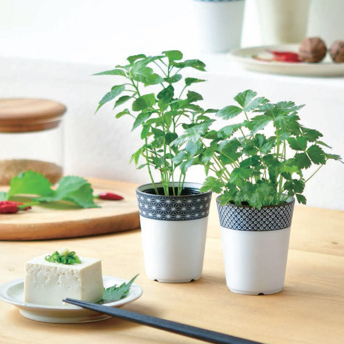 植木鉢　盆栽鉢　鉢　在銘　落款　時代 盆栽鉢 植木鉢 小品盆栽鉢 大品盆栽鉢