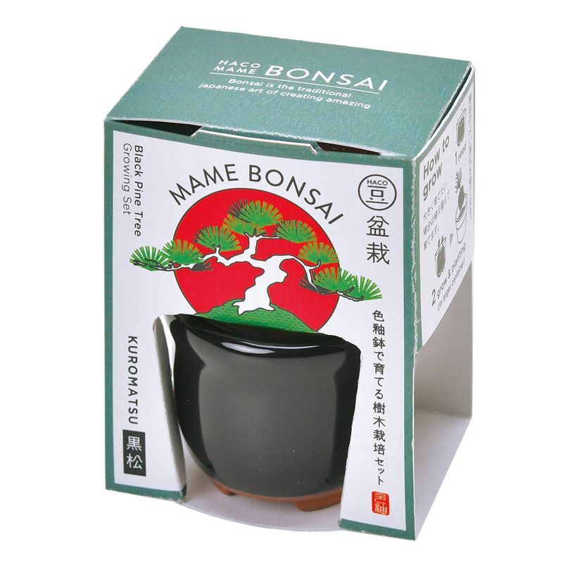 HACO MAME日式陶瓷小盆栽系列