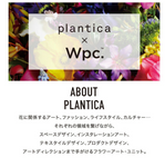 PLANTICA 花印縮骨雨傘 - 黑