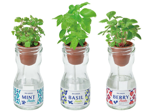 玻璃瓶子吸水種植系列 - 莓果/羅勒/薄荷葉
