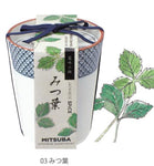 和式茶杯草藥配料盆栽 - 三葉草/唐辛子/紫蘇葉 GD-758