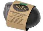 植物岩仙人掌 Plants Rock Cactus -  Black GD-807