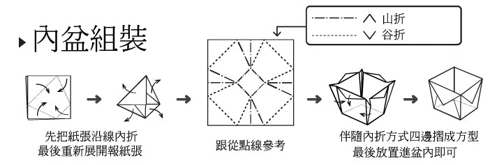 日本進口‧自家種植‧園藝‧家‧裝飾‧環保甘蔗紙盆盆栽