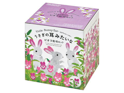 兔耳紫色堇盒子 GD-968